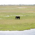 BWA NW Chobe 2016DEC04 NP 026 : 2016, 2016 - African Adventures, Africa, Botswana, Chobe National Park, Date, December, Month, Northwest, Places, Southern, Trips, Year